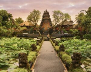 Gallery Thumbnail 1